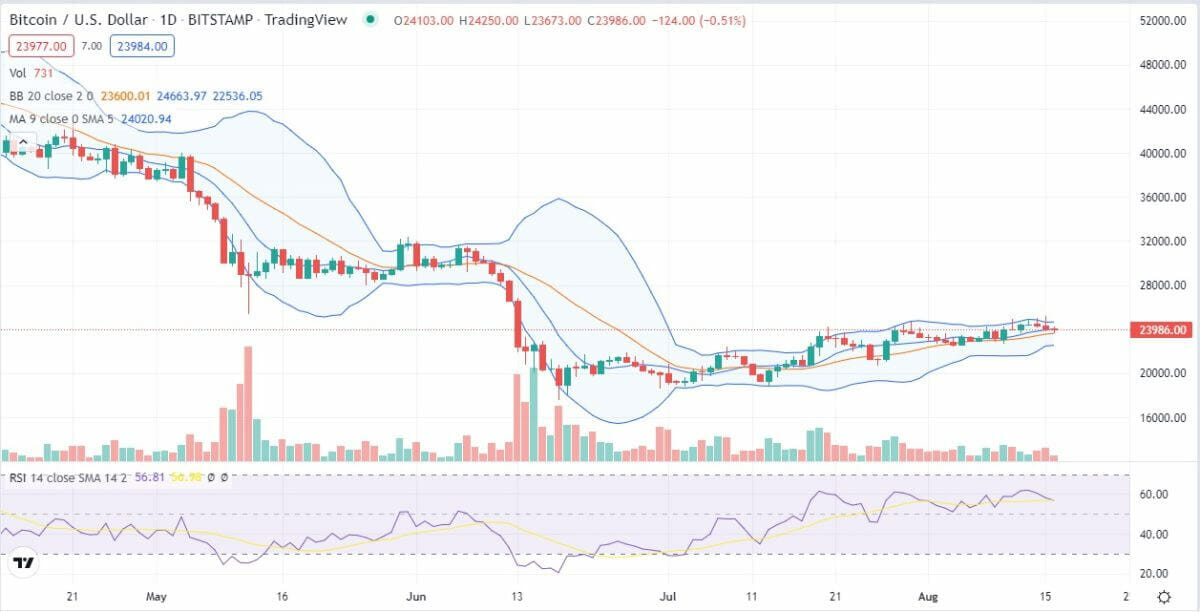 Bitcoin Price Analysis Bulls Defend 24k As Consolidation Reigns Supreme