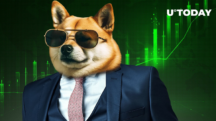 Large Shiba Inu Shib Transactions Witness Jaw Dropping Surge