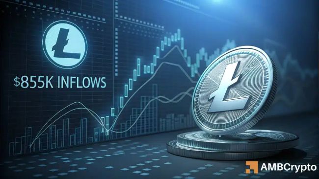 Litecoin: $855K ETF inflow sparks new life – Next target is $105 IF… 11 image