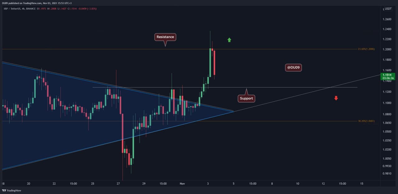 Daily increase. Daily increase