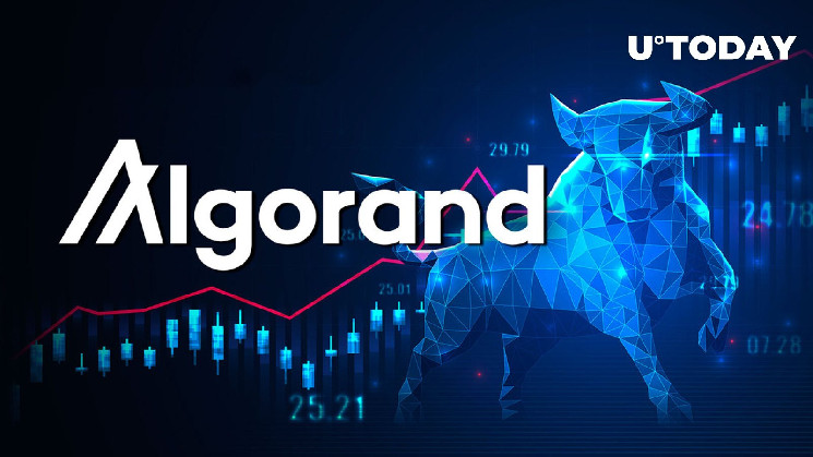 Algorand (ALGO) вырос на 10%, Bull устанавливает новую цель