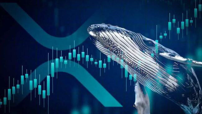 Может ли XRP цена достичь 3 доллара на этой неделе? Бычий шаблон появляется, когда кит открывает позицию в длину 5 миллионов долларов США.