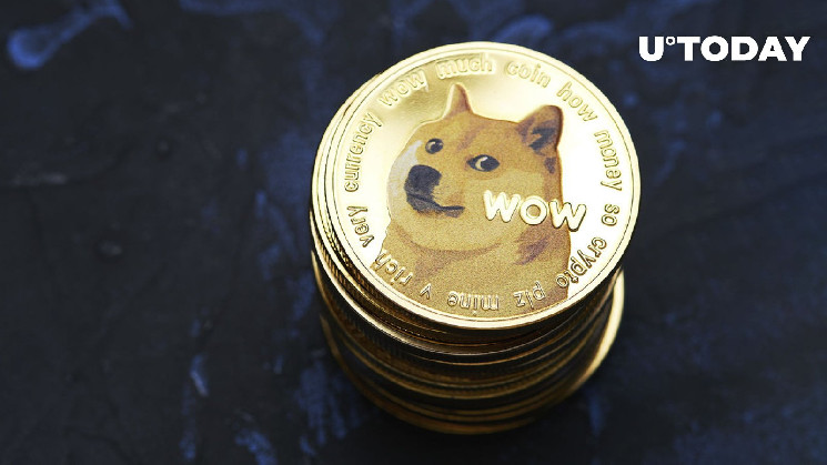 Сооснователь DOGE рассказал, сколько Dogecoin у него есть