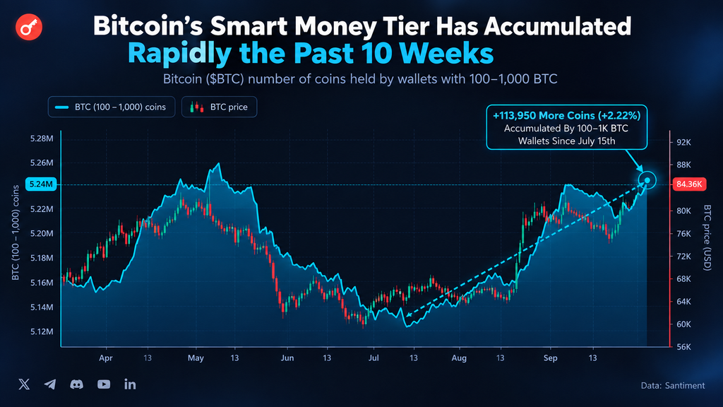 Santiment: крупные игроки накопили почти 114 000 BTC с июля
