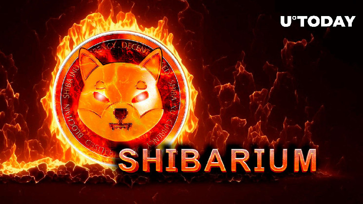 Shibarum annonce une nouvelle ère dans les brûlures SHIB avec un mécanisme de combustion transformateur