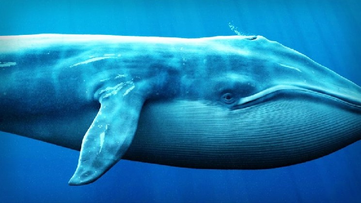 Massive Chinese Crypto Whale: “The Market Hasn’t Fully Priced in the Closure of the Strait of Hormuz Yet”