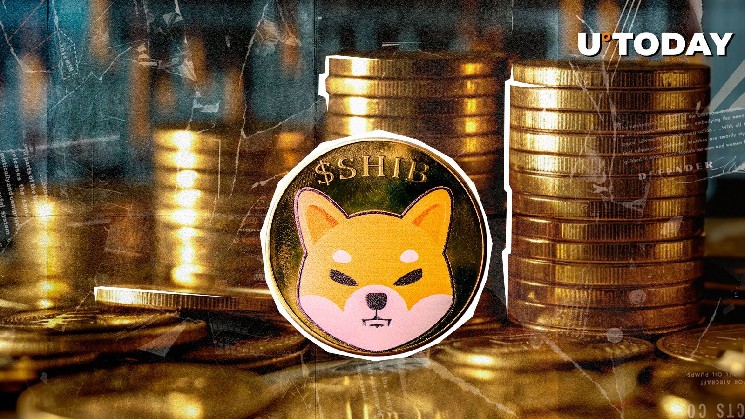 6 000 000 000 000 000 Шиба Ину (Шиб) за 24 часа: подготовьтесь к