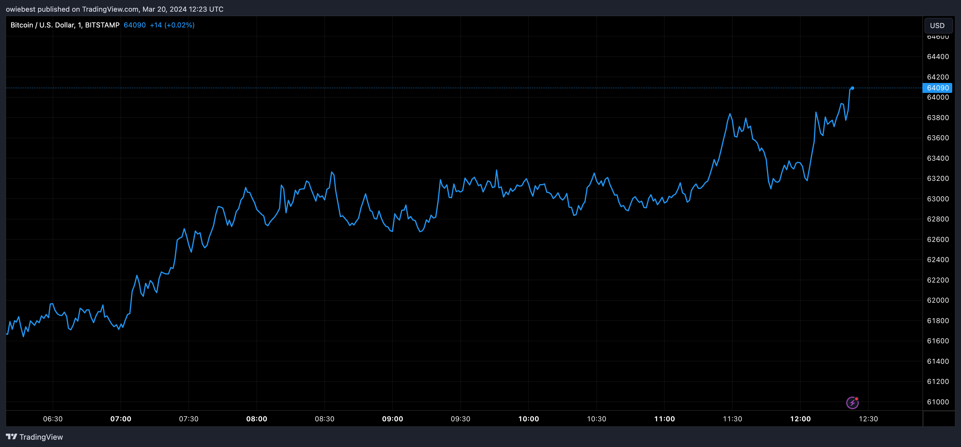 Bitcoin price chart from Tradingview.com (Grayscale CEO)