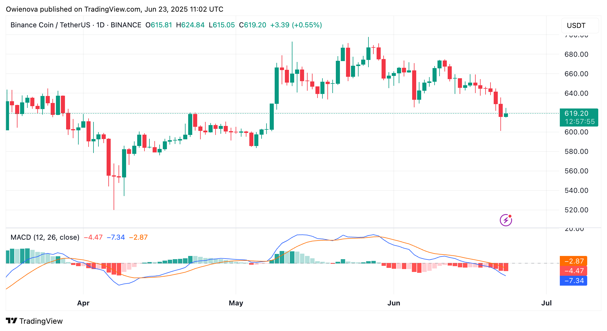 BINANCE:BNBUSDT Chart Image by Owienova