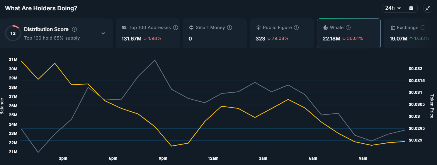 Monad Whale Activity.