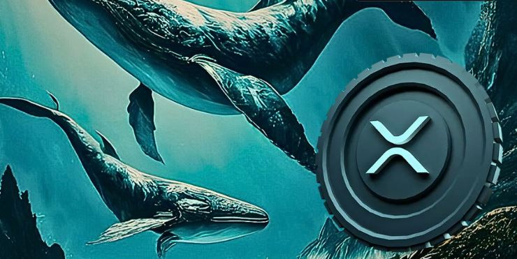 Сообщество XRP реагирует на перемещение китов на 1 606 093 000 XRP через Bybit и Bithumb