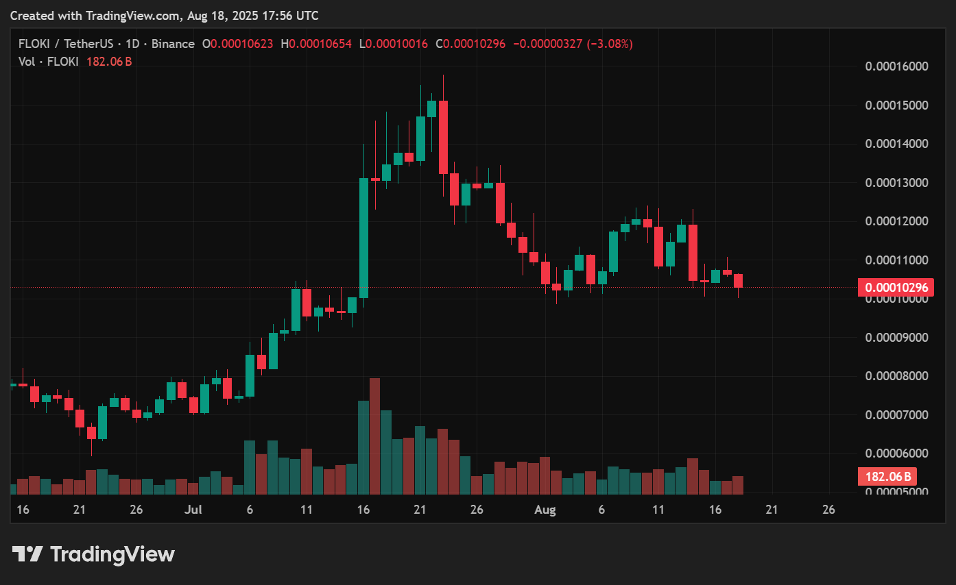 FLOKI price prediction 2030: Could Floki Inu ever hit $0.1? - 1