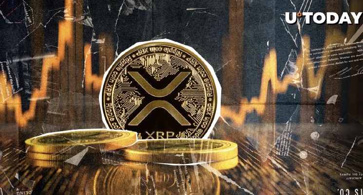 Рост сети XRP Ledger остается на «высоких уровнях»