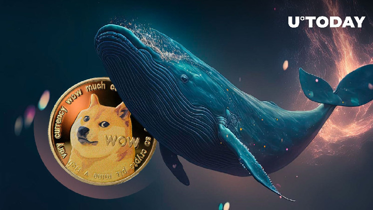 Le rebond du Dogecoin (DOGE) est déclenché alors que les baleines génèrent un volume de 1 milliard de dollars