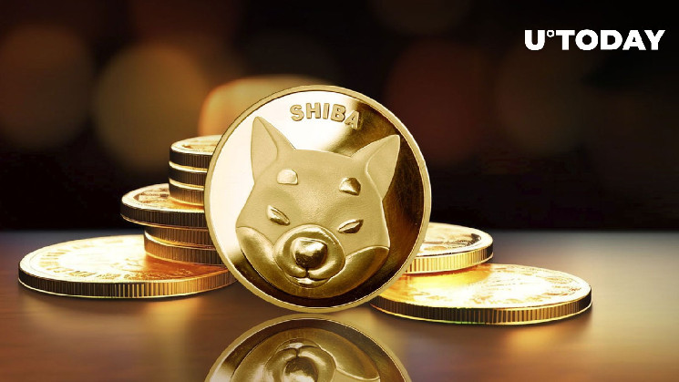 Сиба-ину обеспечивает элитный статус в рыночных рейтингах среди мем-монет