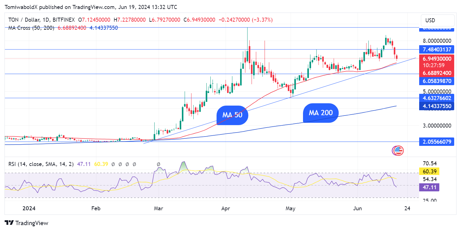 Toncoin (TON) Meroket 376% dalam Aktivitas Paus Apa yang sedang terjadi?