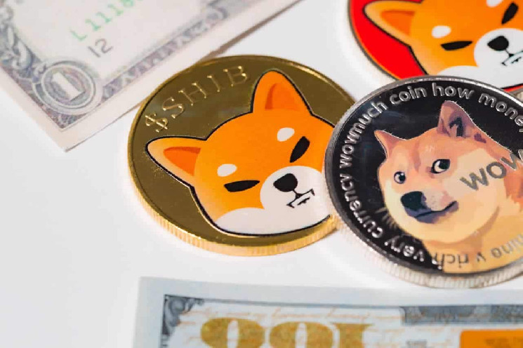 Исследование: цена DOGE может скоро вырасти, и в этом участвует SHIB