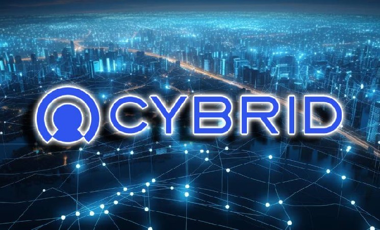 Компания Cybrid получила от инвесторов $10 млн