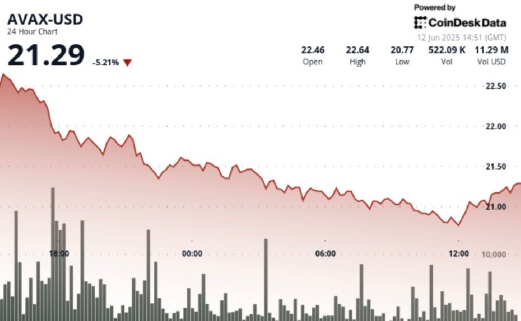 Avax отскокает от ключевой поддержки после 6% погружения