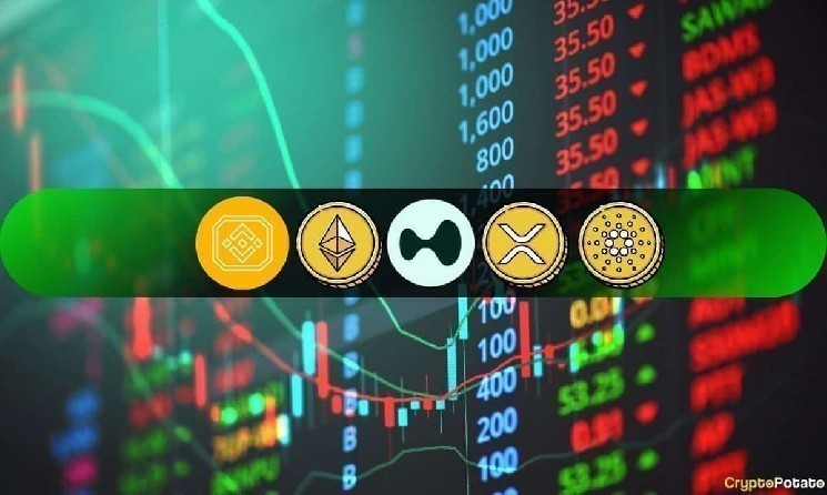 Анализ цен на криптовалюту 31 октября: ETH, XRP, ADA, BNB и HYPE