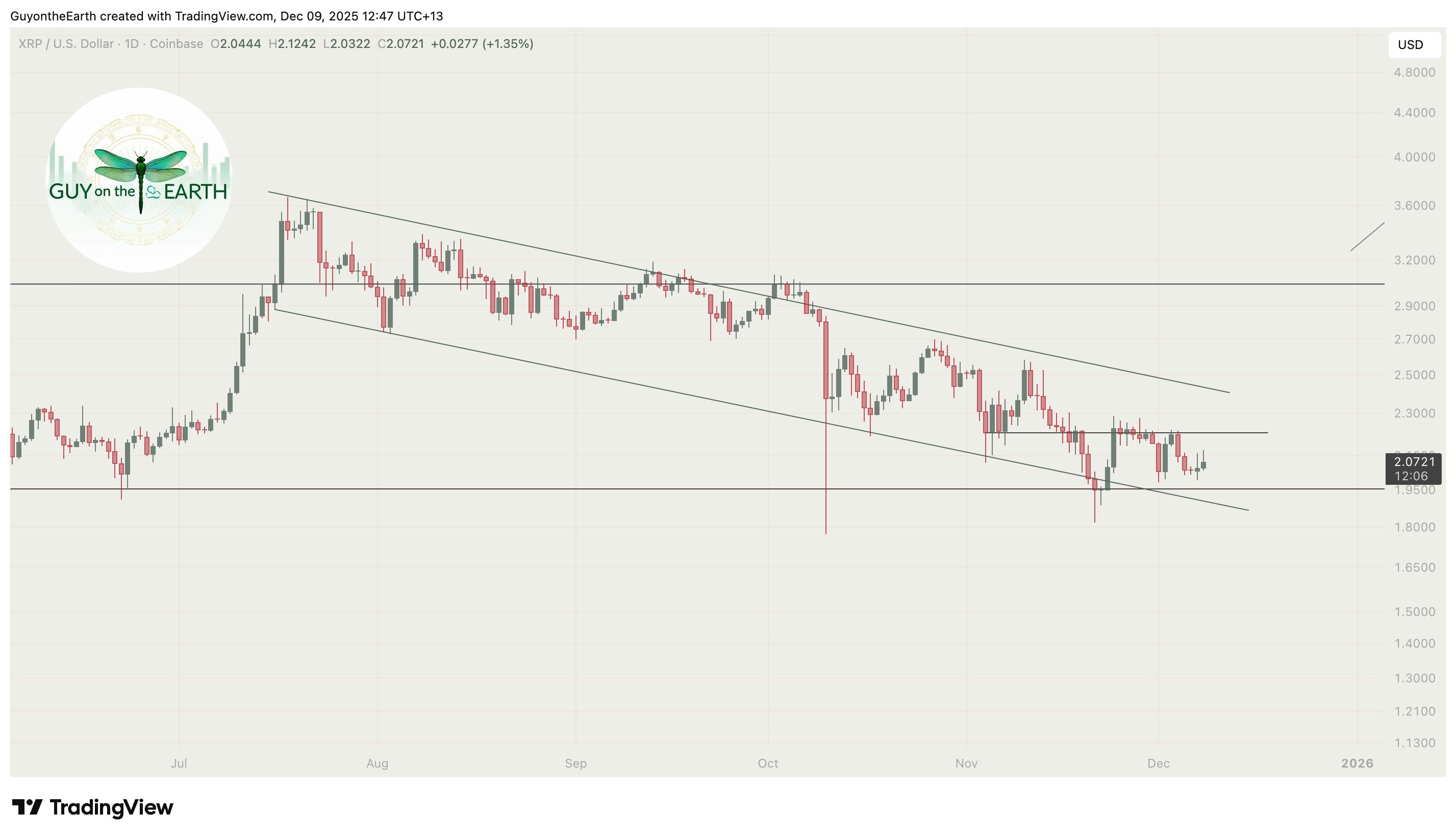 XRP 1D Chart Guy on the Earth