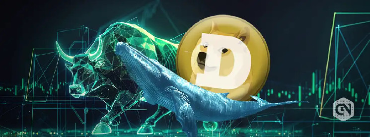 Киты Dogecoin покупают 160 млн DOGE. Скоро ли цена достигнет 1 доллара?