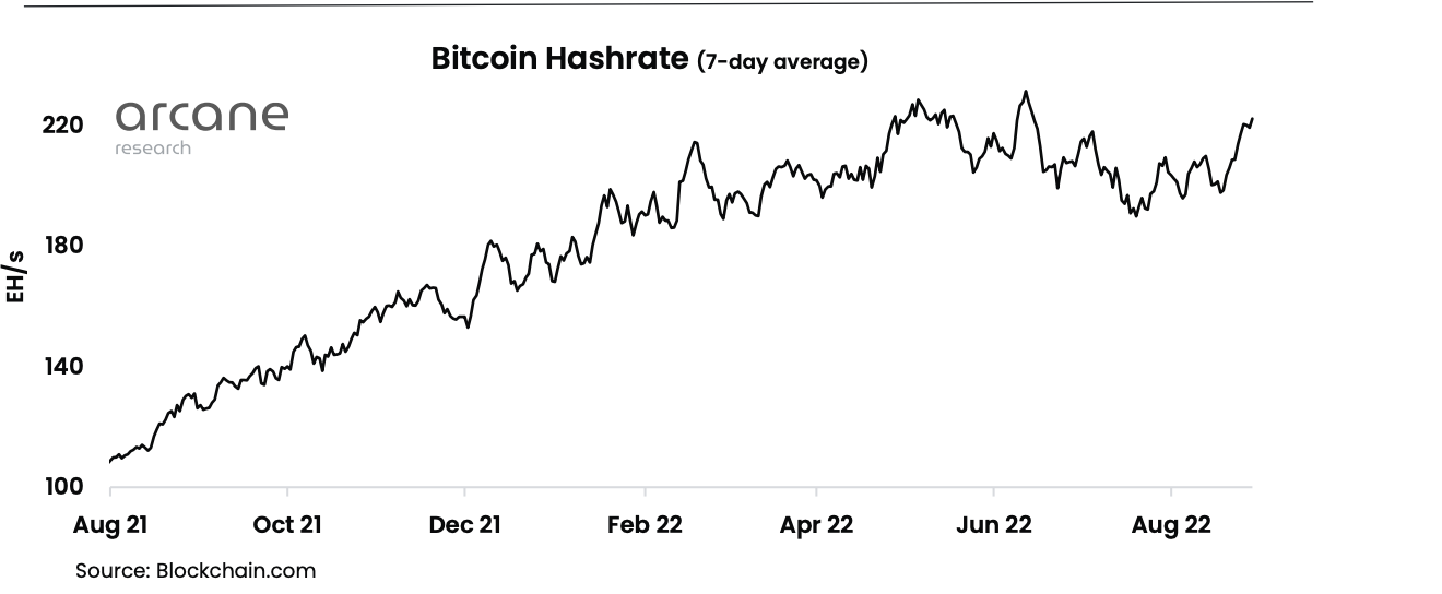 Hashrate. График хешрейта биткоинов. Биткойн рост. Мировая мощность хешрейта биткойна. Рост биткоина за все время