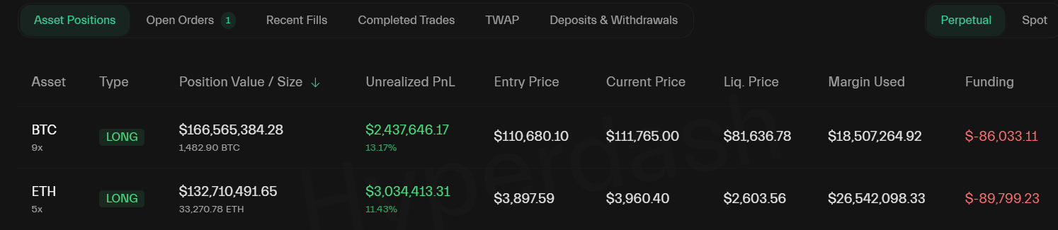 Crypto Whale Long Position on Bitcoin and Ethereum.