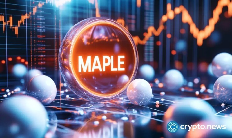 Вот почему цена токена Maple Finance находится в бычьем беге