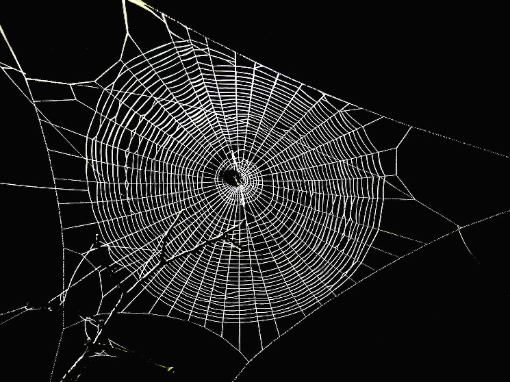 Aave оценивает интерес сообщества к расширению до Bitcoin Layer 2 Spiderchain