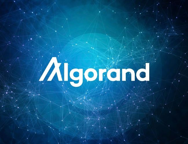 Рыночная капитализация Algorand и TVL стремительно растут, поскольку ALGO сталкивается с критическим испытанием на поддержку
