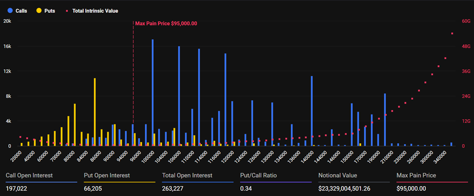 Expiring Bitcoin Options. Source: Deribit