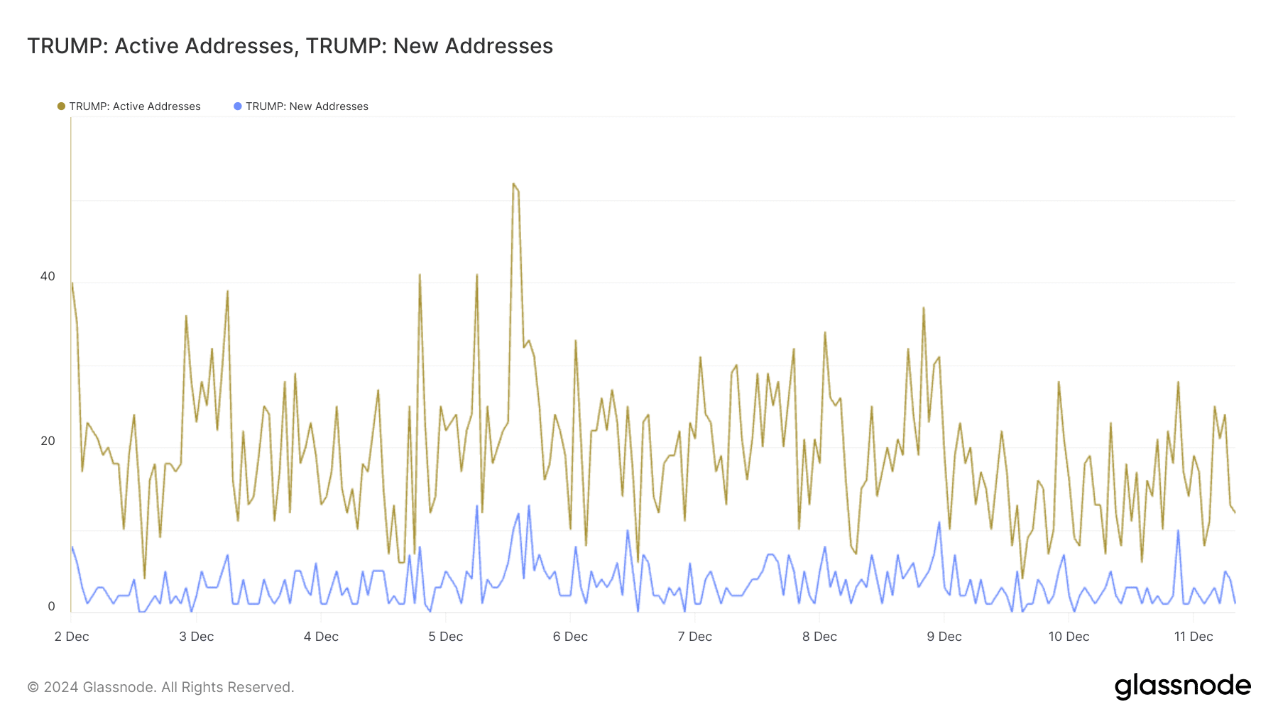 A chart displaying the number of active addresses (gold line) and new addresses (blue line) for the $TRUMP token from December 2 to December 11, 2024. The chart shows significant fluctuations in both metrics, with spikes in active addresses on December 5–7 and December 9. New addresses exhibit a steady yet volatile trend, indicating intermittent bursts of interest.