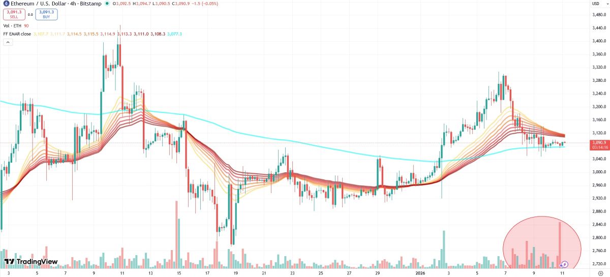bears-activity-eth-january