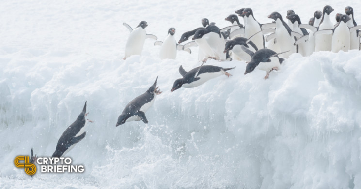 Pudgy Penguins NFT Project Ousts Founders as Mood Turns Icy