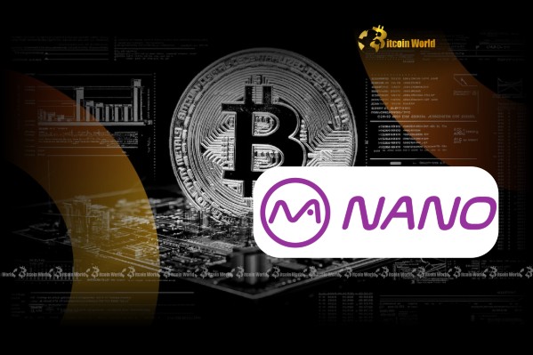 Стратегическое приобретение биткойнов Nano Labs: поддержка BTC Holdings до 1000