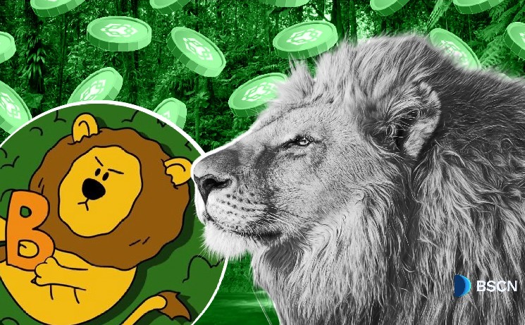 Познакомьтесь с Buildon: The Lion Mascot Building Real Defi на цепи BNB
