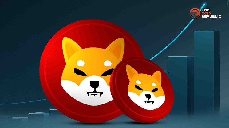 Шиба Ину Прайс Глаза Глаза Главная цель после завершения бычьей настройки