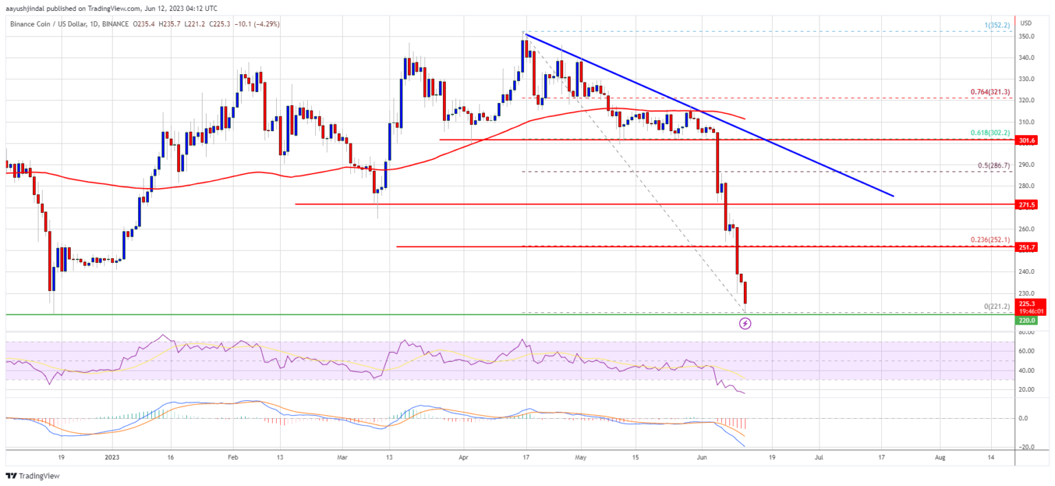 Prediksi Harga BNB: Apakah Downtrend Baru Dimulai?