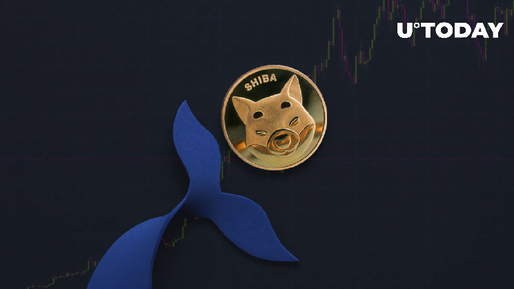 Вот почему Top Whales продали 1,4 трлн SHIB, согласно данным Fresh Trading