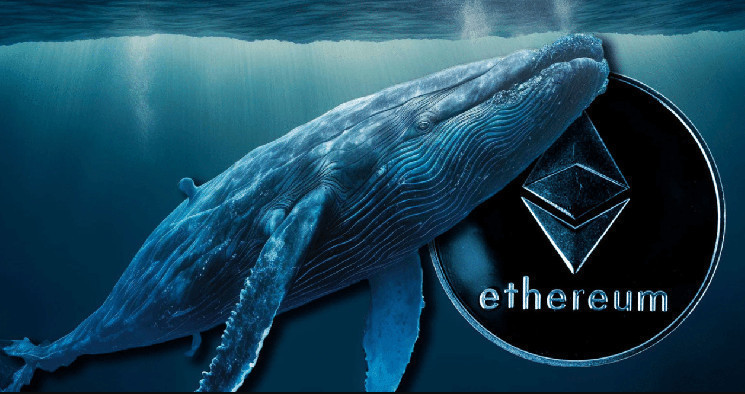Инвестор Ethereum ICO сделал крупный перевод в Kraken спустя долгое время! Будет ли распродажа?