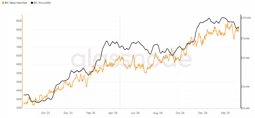Сложность майнинга биткоина увеличилась на 1,43%