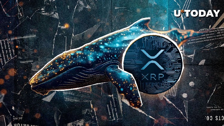 98 292 623 XRP переведен загадочно как новый кит.