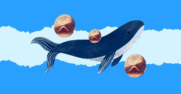 30 миллионов долларов на XRP торгуется всего за 60 секунд