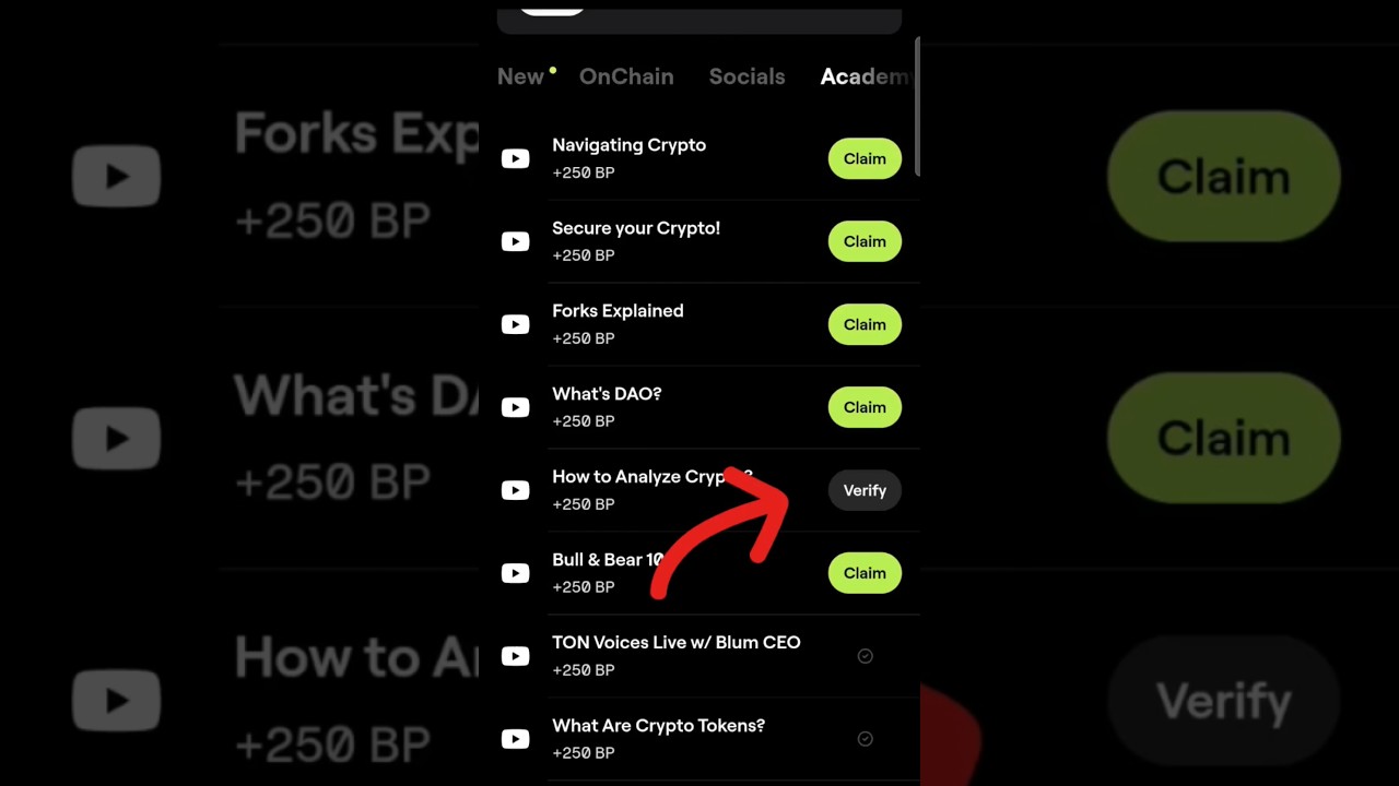Blum комбо 16 декабря