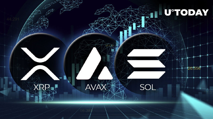 Возрождение XRP, AVAX, SOL показывает, на что способен рынок