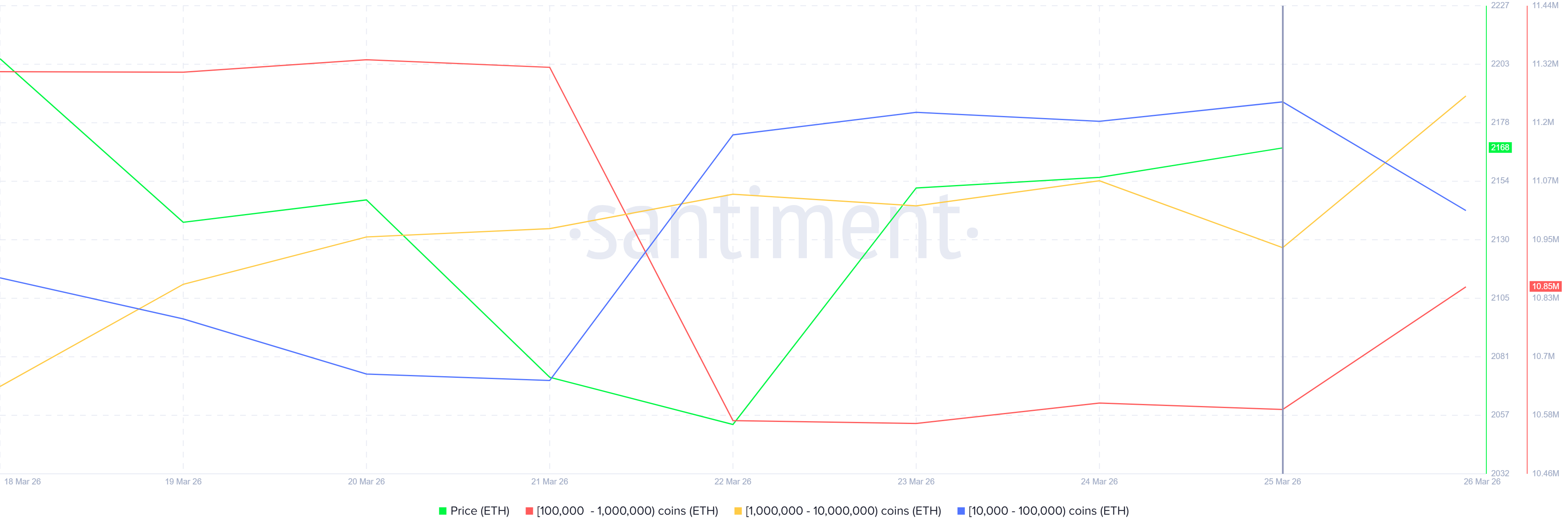 Ethereum Whale Holding