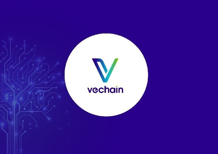 Революционное обновление ренессанса Vechain, которое будет запущено в июле 2025 года: что нового для ветеринара в долларах?