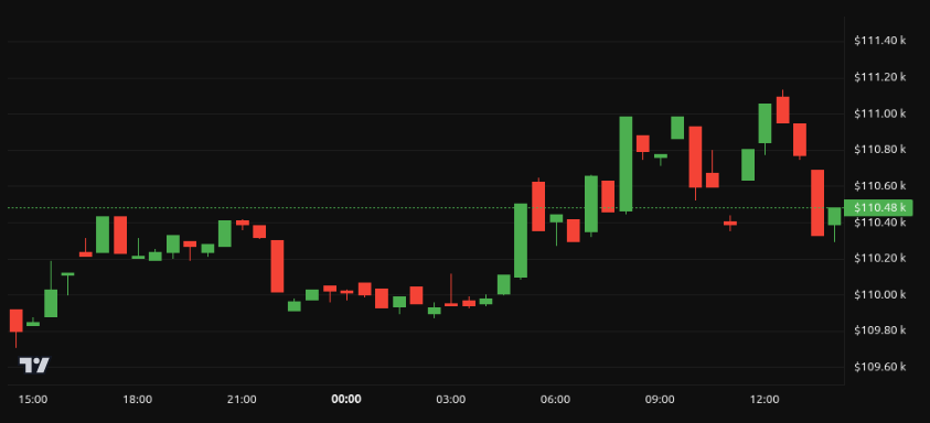 Rendimiento del precio de Bitcoin (BTC) - 24 horas. Fuente: BeInCrypto