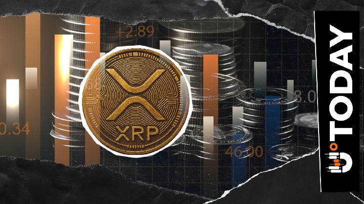 Криптоадвокат Скотт Мелкер отмечает необычную особенность XRP